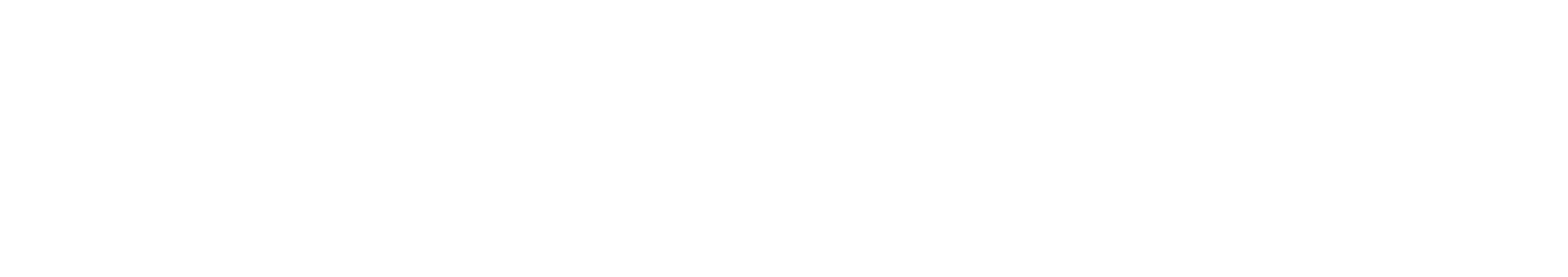 PlentyONE_Logo_White_RGB