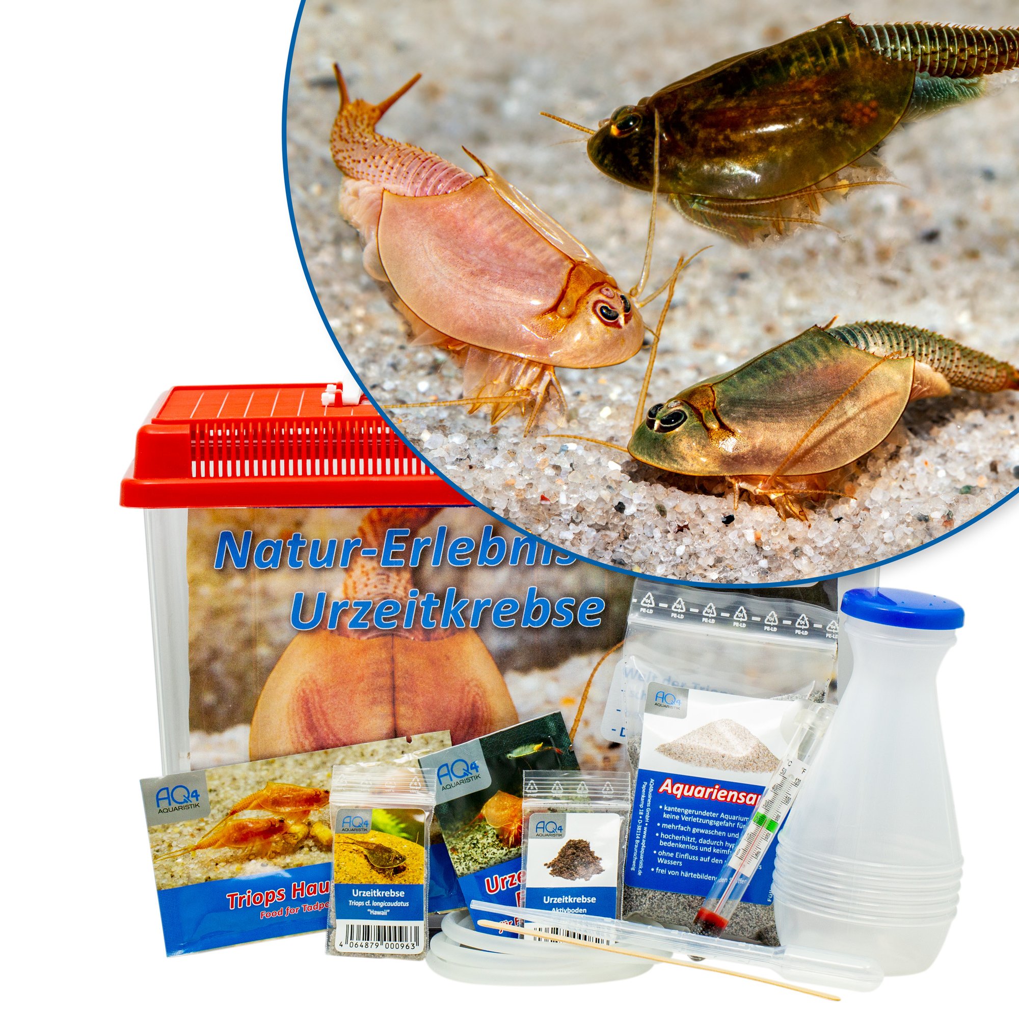 -Triops-Natur-Erlebnis-Set-Urzeitkrebse-Komplettset-mit-ca--100-Urzeitkrebseiern--Zubehoer-und-Futter_1 (2)